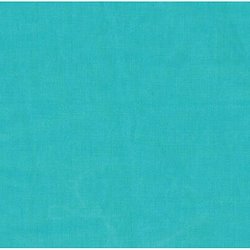 Turquoise - Echino Solid - Canvas